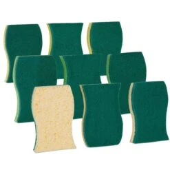 Smart Design Heavy Duty Cellulose Smart Scrub Sponge - Ultra Absorbent - Ergonomic Shape - Cleaning, Dishes, & Hard Stains - Green(Smart Design Heavy Duty Cellulose Smart Scrub Sponge Set Of 3 Ultra Absorbent Ergonomic Shape Cleaning Dishes Hard Stains) 24 Smart Design Heavy Duty Cellulose Smart Scrub Sponge - Ultra Absorbent - Ergonomic Shape - Cleaning, Dishes, & Hard Stains - Green(Smart Design Heavy Duty Cellulose Smart Scrub Sponge Set Of 3 Ultra Absorbent Ergonomic Shape Cleaning Dishes Hard Stains) -Smart Design Store smart design heavy duty cellulose smart scrub sponge ultra absorbent ergonomic shape cleaning dishes hard stains green smart design cleaning 7002175 incrementin 112264
